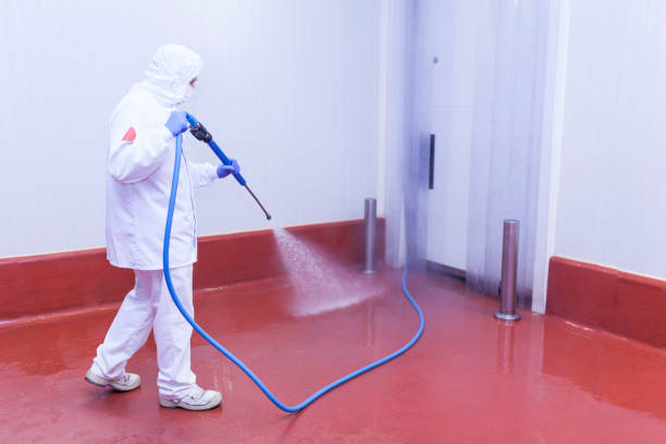 Best Parking Lot and Garage Cleaning  in Granite City, IL