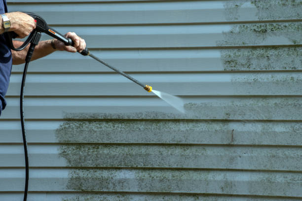 Best Gutter Cleaning  in Granite City, IL