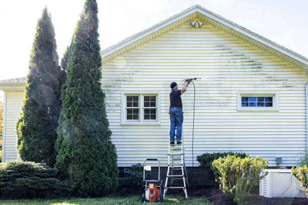 Best Sidewalk and Walkway Cleaning  in Granite City, IL